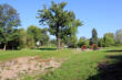 Blick vom Grundstück des ehemaligen Vorwerks und Gasthauses „Sorge“ flussabwärts zum ehem. Standort der Pulvermühle rechts neben dem Baum, links der angeschnittene und teilweise freigelegte Mühlgraben, Sept. 2014
