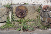 Erhaltener Eisenanker zur Stabilisierung  der Mühle in der Außenmauer, März 2014 