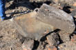 Abdeckung des  Brunnenschachtes, Sandstein 24 cm stark, März 2014