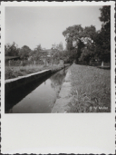 Mühlgraben vom Oberlauf aus gesehen, Blick zur Mühle, 1958